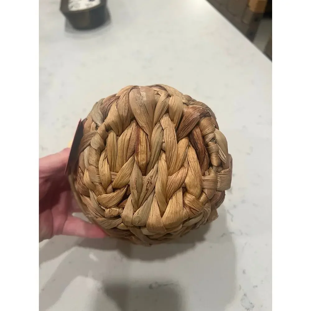 NWT Small Circle Woven Canister